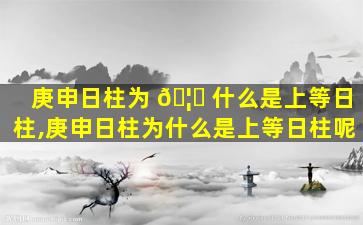 庚申日柱为 🦍 什么是上等日柱,庚申日柱为什么是上等日柱呢
